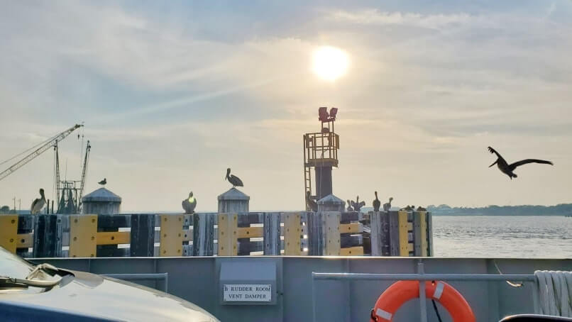 mayport ferry to fort george island. st johns river ferry