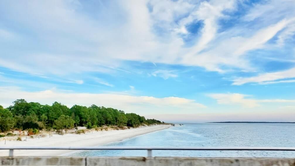 mayport ferry to amelia island