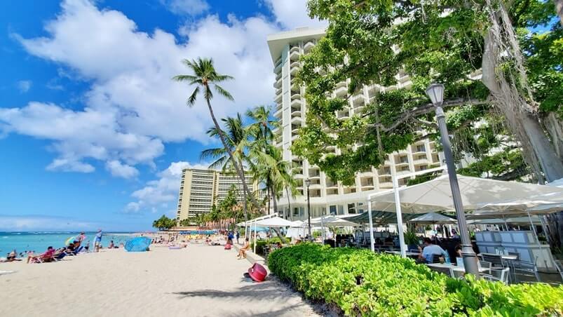 see moana surfrider banyan tree from the beach. waikiki beach banyan tree.
