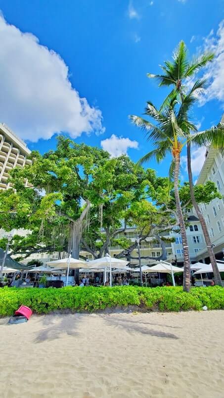 moana surfrider beach. does the moana surfrider have a private beach? waikiki beachfront hotel. honolulu beachfront hotel. oahu beachfront hotel. hawaii beachfront hotel.