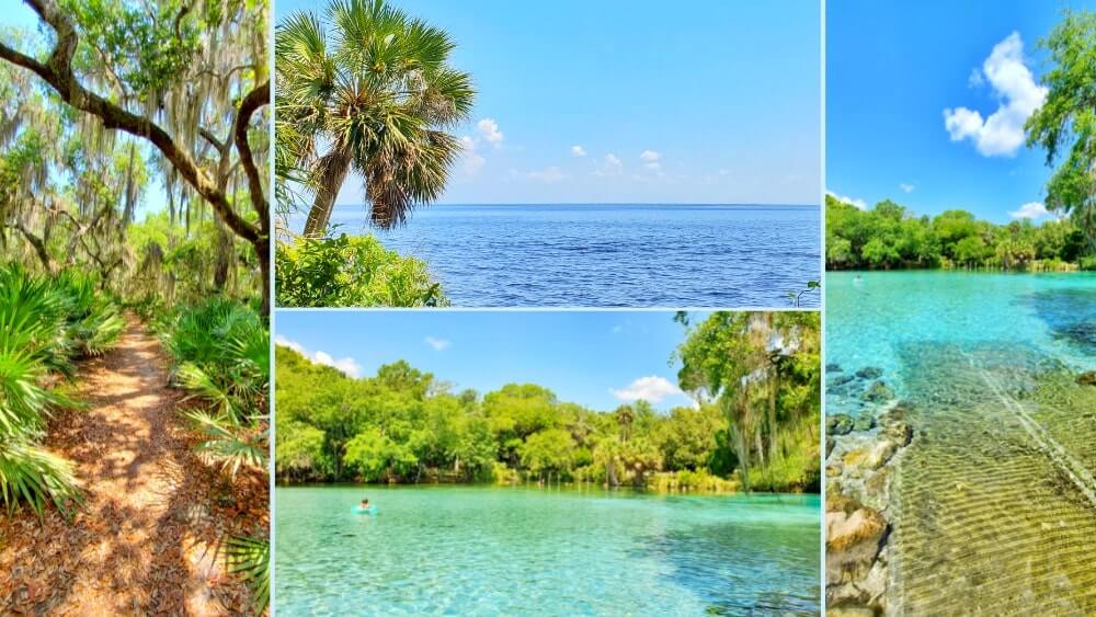 best springs in florida