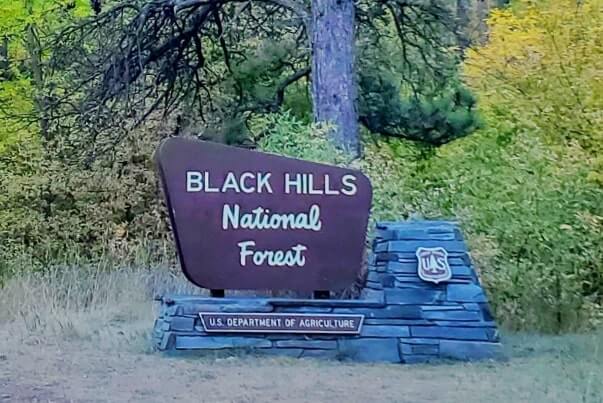 spearfish canyon waterfalls. black hills national forest waterfalls