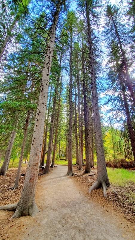 spearfish falls trail. best spearfish canyon waterfall hike. spearfish canyon waterfalls. best black hills hikes. best south dakota hikes