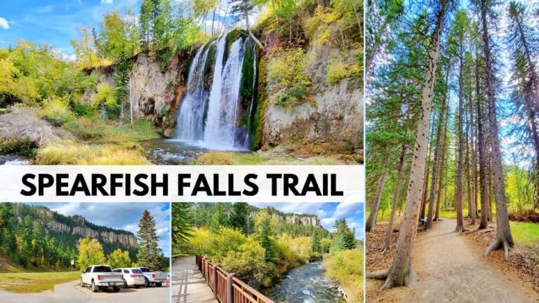 What to know about Spearfish Falls Trail in the Black Hills of South
