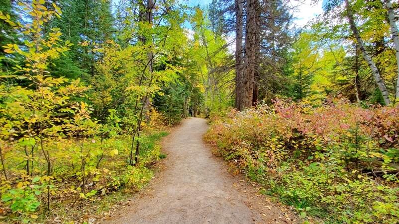 spearfish falls trail