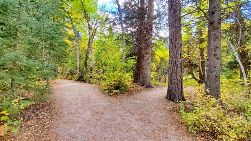 spearfish falls trail