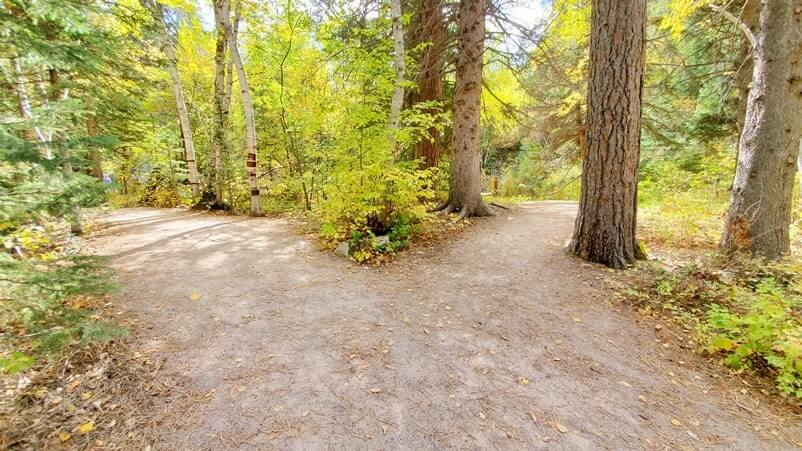 spearfish falls trail