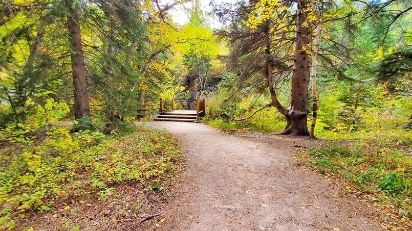 spearfish falls trail