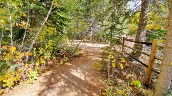 end of spearfish falls trail