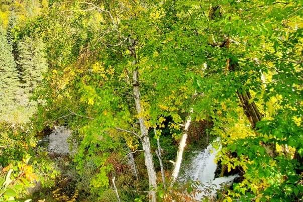 Spearfish Falls upper overlook