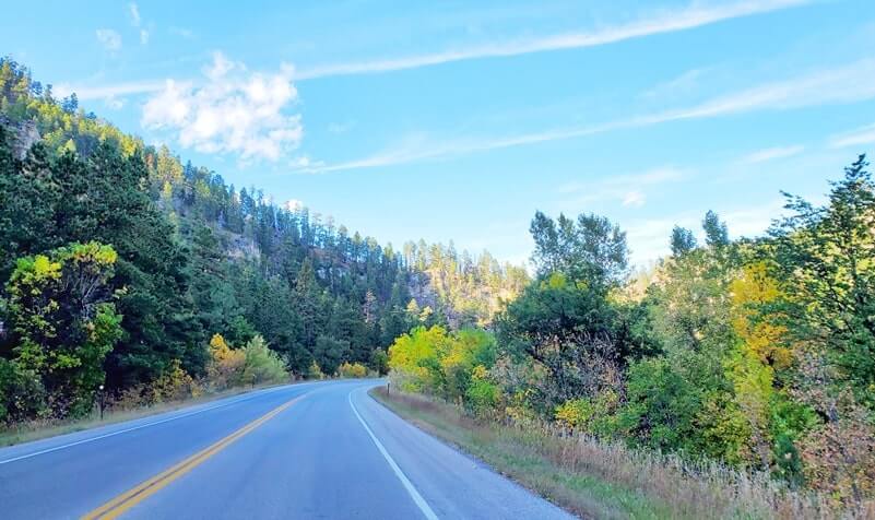driving the spearfish canyon scenic byway from split rock to spearfish. black hills. south dakota