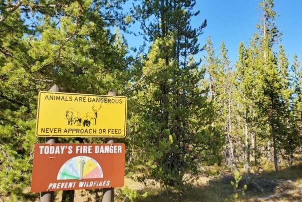 wildlife sign, yellowstone national park road from south entrance. yellowstone national park drive