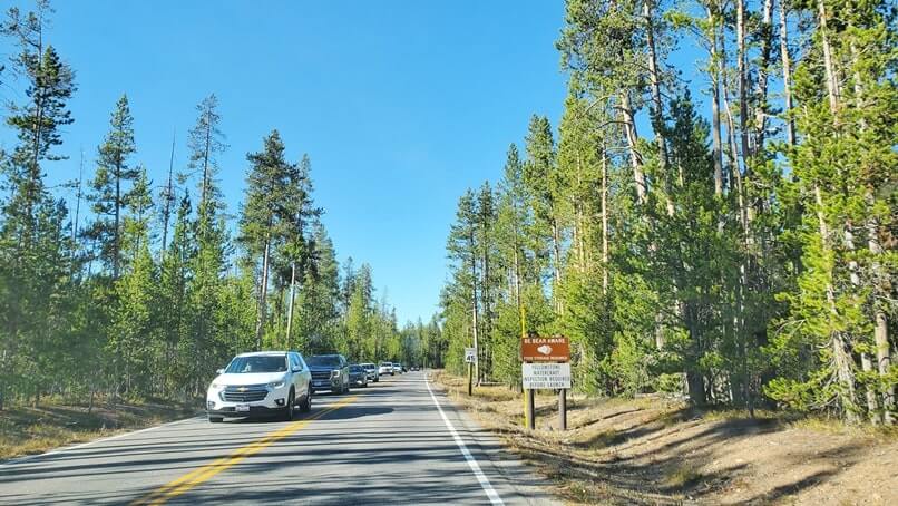 yellowstone national park road from south entrance. yellowstone national park drive