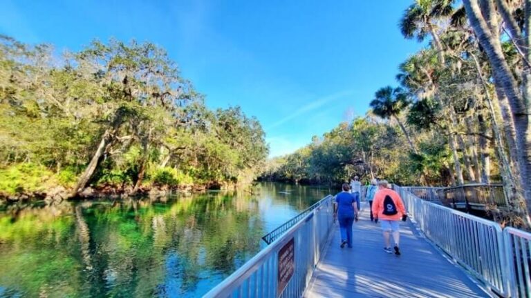 Fun Orlando Florida day trip to see manatees in Blue Spring State Park ...