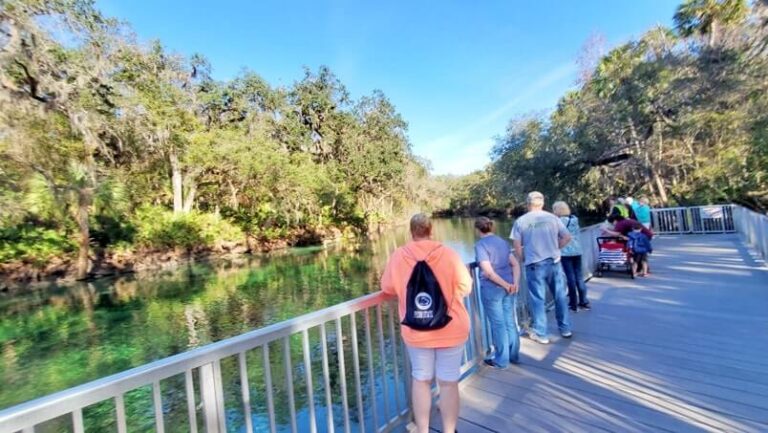 Fun Orlando Florida day trip to see manatees in Blue Spring State Park ...