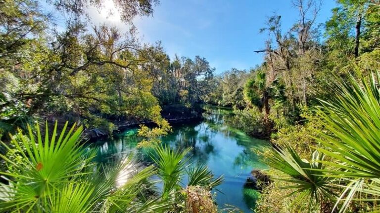 Fun Orlando Florida day trip to see manatees in Blue Spring State Park ...