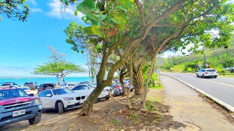 driving to lanikai beach. how to get to lanikai beach from kailua beach parking lot