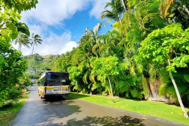 Kailua Beach bus from lanikai. how to get to kailua beach by bus