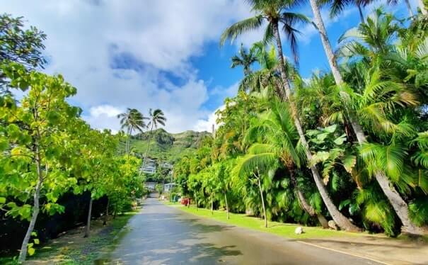 Kailua Beach bus from lanikai. how to get to kailua beach by bus