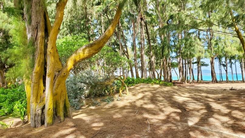 kailua beach park