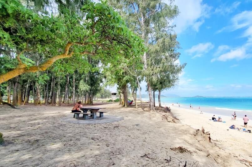 kailua beach picnic tables. kailua beach park