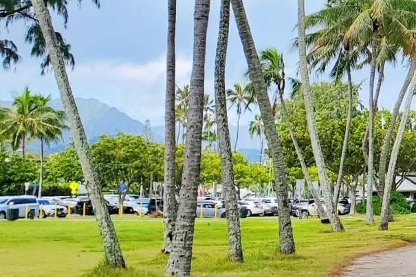 kailua beach parking lot