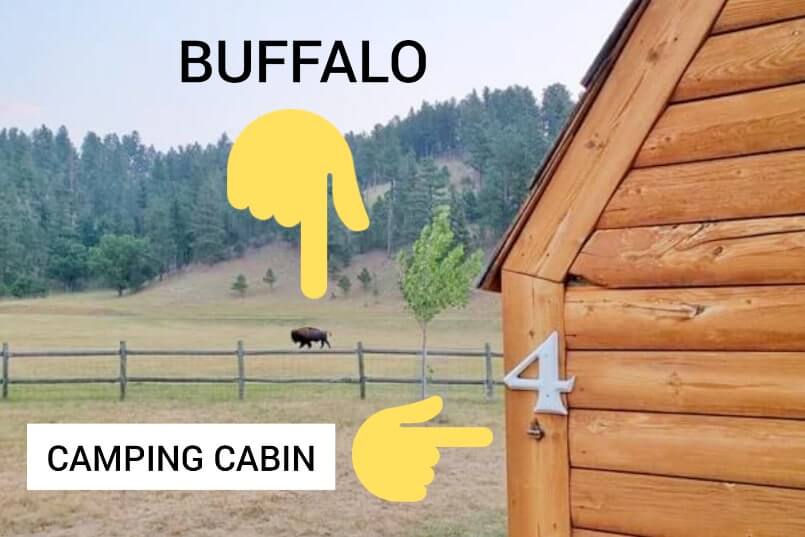 game lodge campground buffalo. game lodge camping cabin buffalo in custer state park