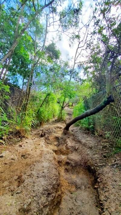 lanikai pillbox trailhead climb to start lanikai pillbox hike difficult