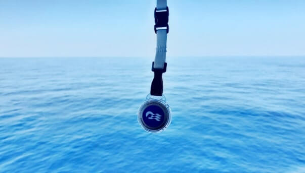 princess transpacific cruise. princess medallion, blue color