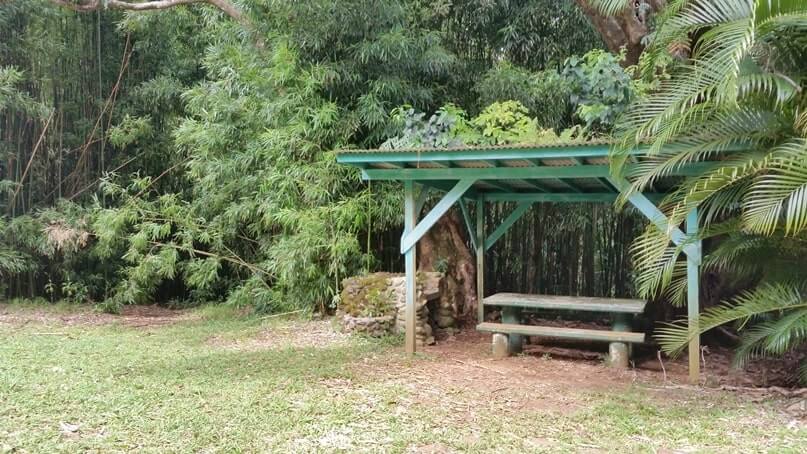 waikamoi nature trail: road to hana picnic areas