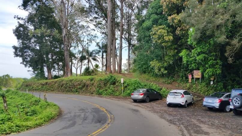 waikamoi nature trail parking. waikamoi ridge trail parking