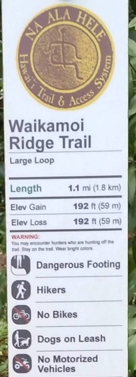 waikamoi ridge trail difficulty