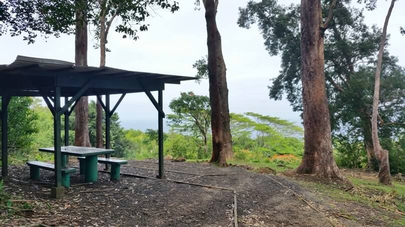 waikamoi nature trail picnic area. waikamoi ridge trail picnic area. road to hana picnic area