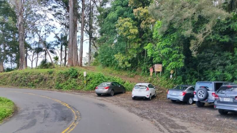 waikamoi nature trail parking. waikamoi ridge trail parking
