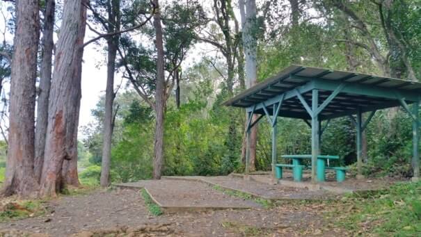 waikamoi nature trail picnic area. road to hana picnic area