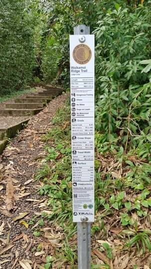 waikamoi ridge trail difficulty