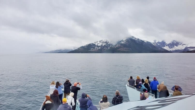 26 glacier cruise review
