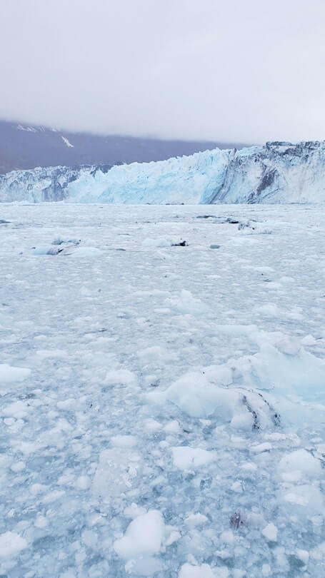 college fjord glacier in alaska. harvard glacier. college fjord ice. 26 glacier cruise, whittier