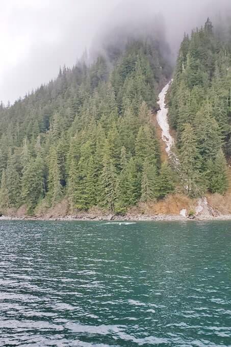 whale watching in alaska near esther passage, whittier