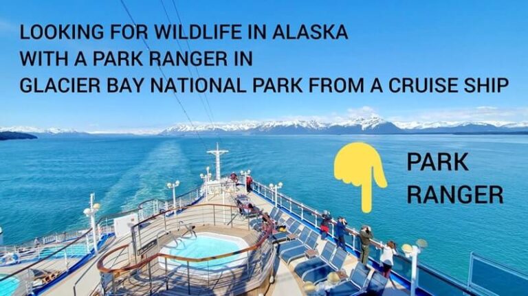 Glacier Bay National Park day on a cruise ship + park ranger activities ...