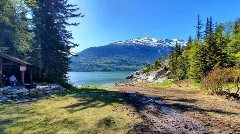 Smugglers Cove Trail 🏔 How to get there from cruise port 🏔 Skagway hike ...