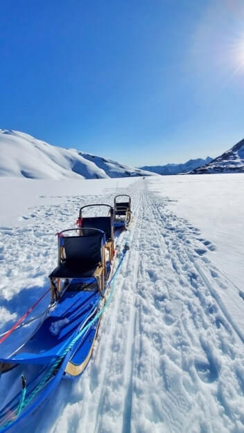 dog sled seats. alaska dog sledding tour