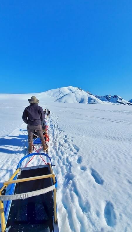 dog sledding tour in alaska in summer. glacier dog sledding on snow