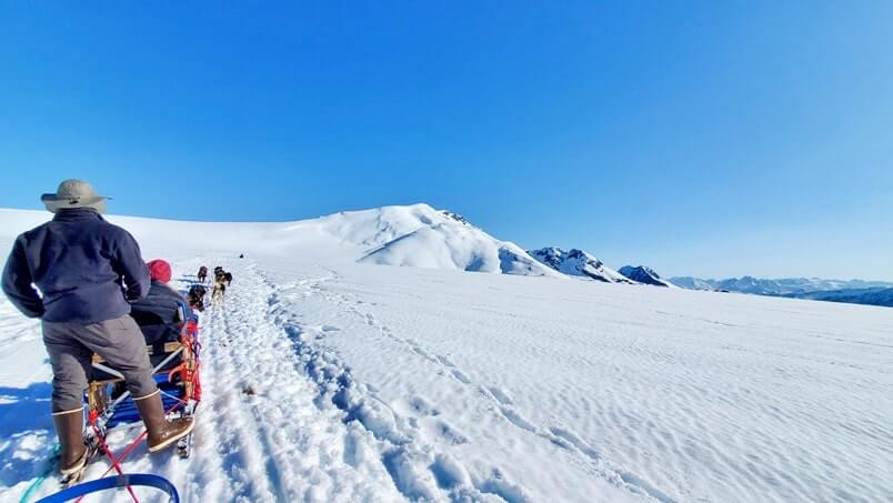 dog sledding tour in alaska in summer. glacier dog sledding on snow