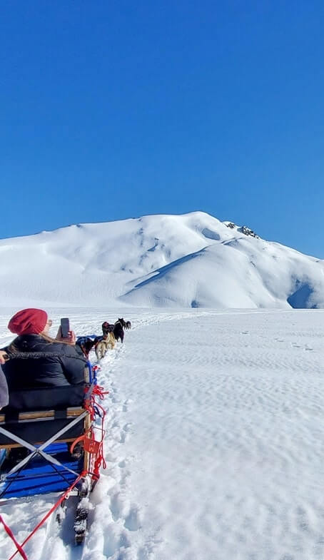 dog sledding tour in alaska in summer. glacier dog sledding on snow