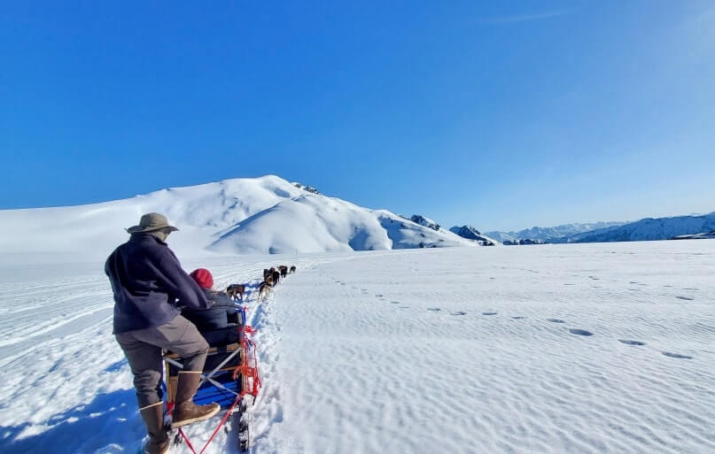 best dog sledding tours in alaska. best cruise ports for dog sledding. alaska dog sledding tour in summer on snow. glacier landing. dog sledding excursion from cruise port