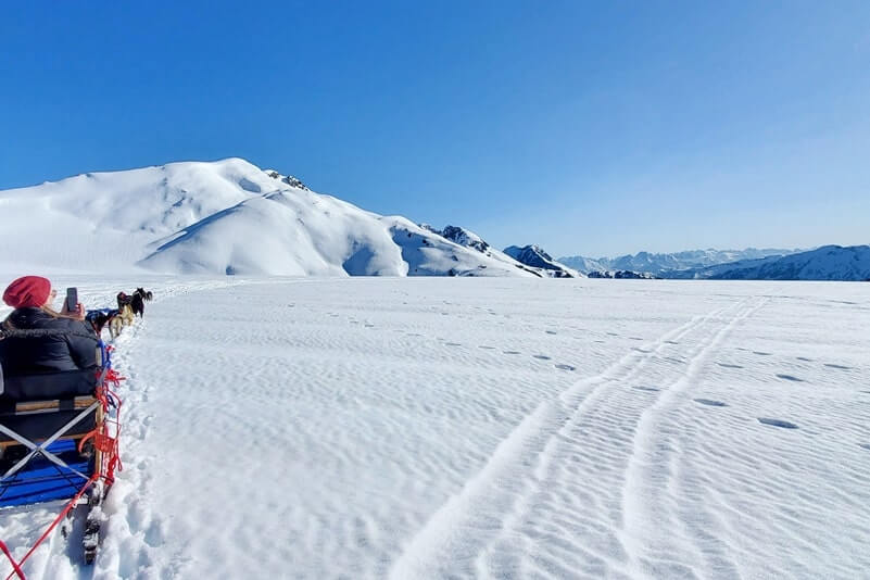 dog sledding tour in alaska in summer. glacier dog sledding on snow