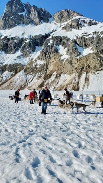 dog sledding camp. alaska dog sledding tour