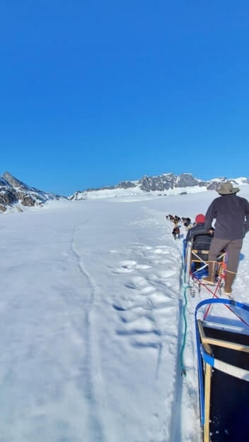 alaska dog sledding tour
