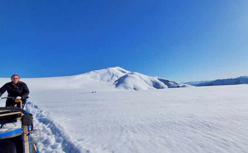 dog sledding tour in alaska in summer. glacier dog sledding on snow